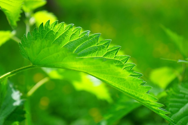 blog-image